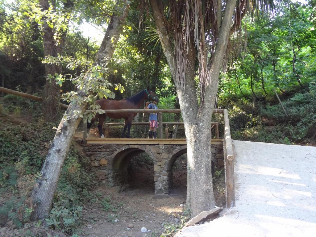 Hotel Quinta Das Escomoeiras Celorico De Basto Exterior foto